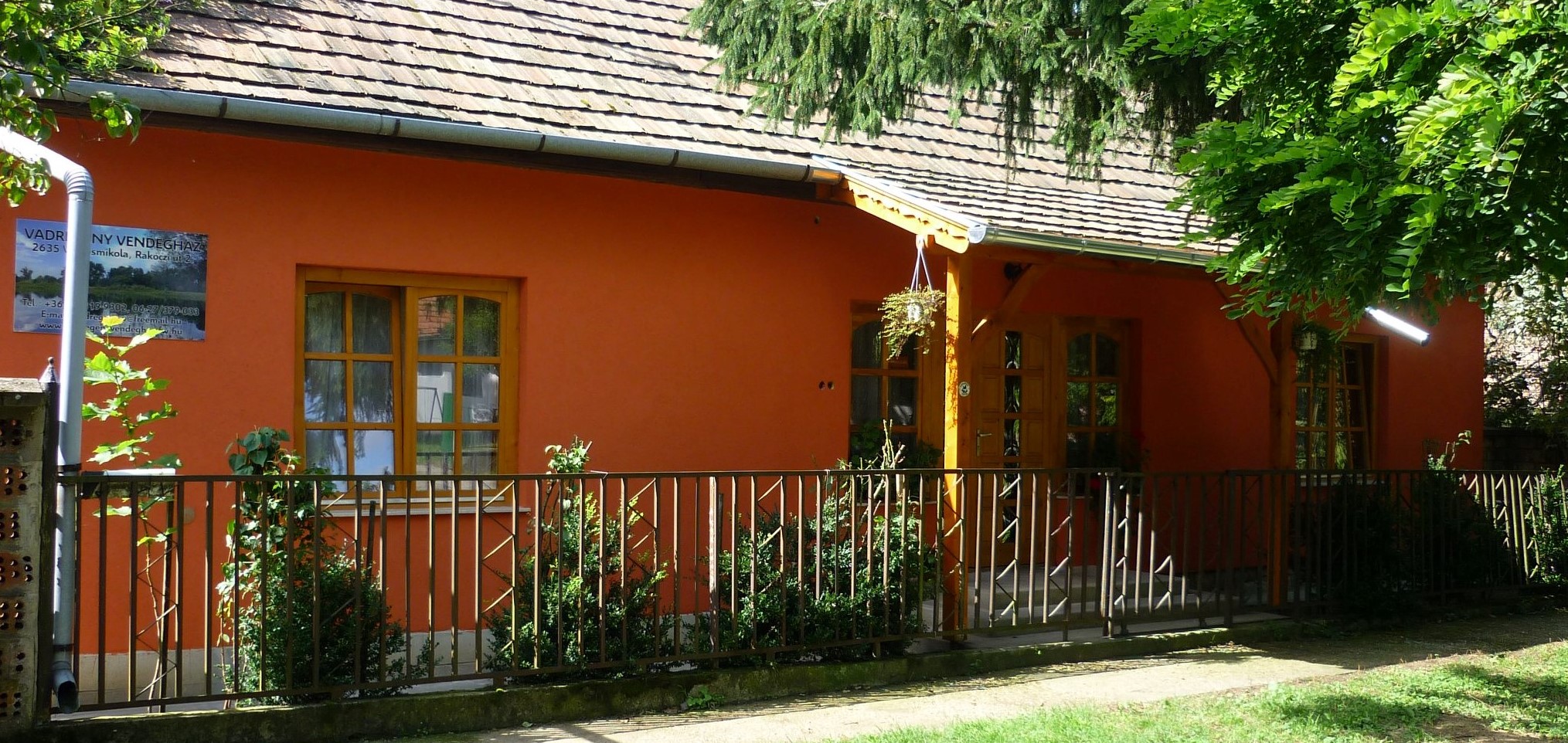Kép